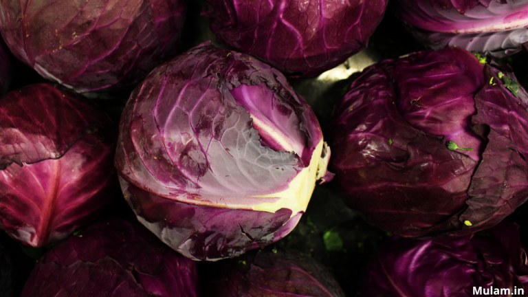 Red Cabbage​