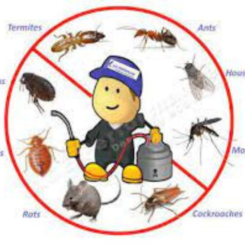 Hygine & Pest Control