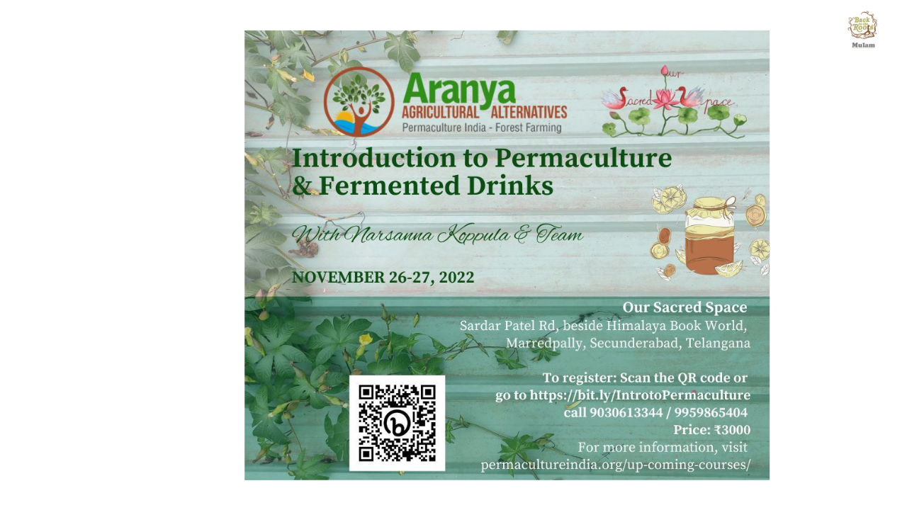 Introduction to Permaculture & Fermented Drinks