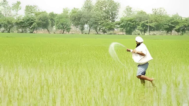 Organic Pest Control in fields