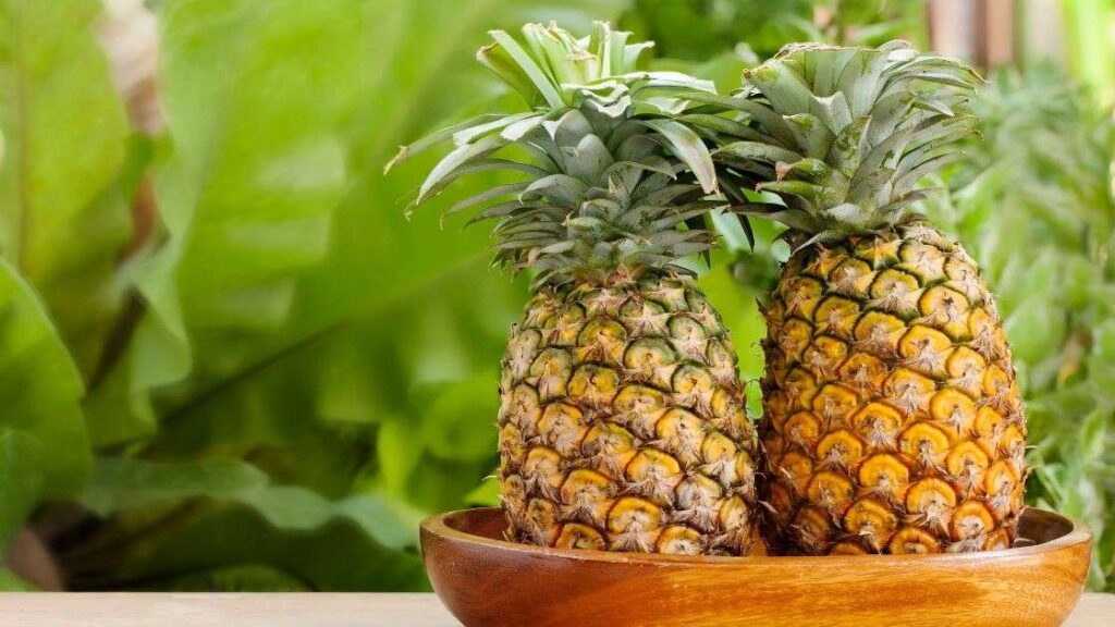 Pineapple