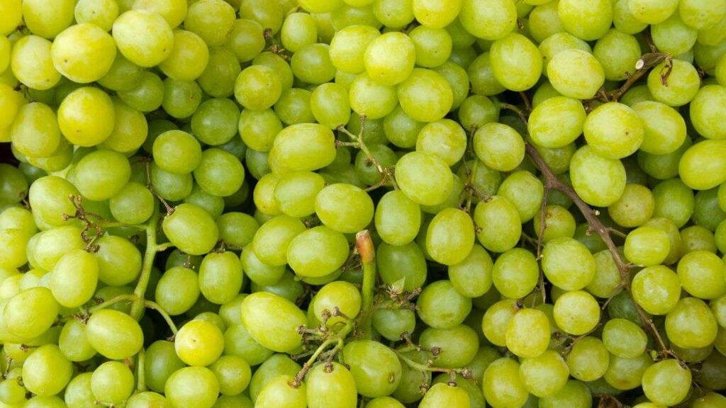 Grapes