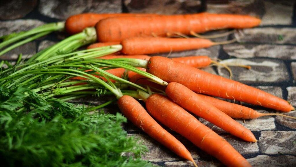 Carrots