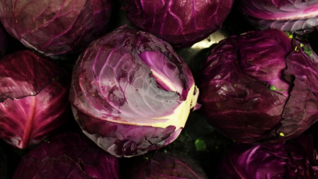 Red Cabbage