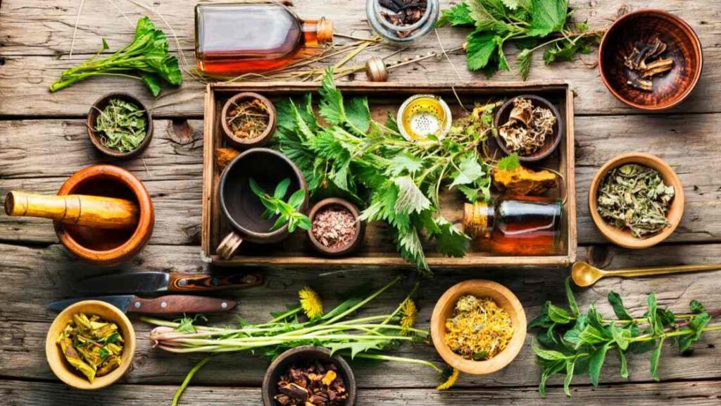 Herbal and Medicinal Plants
