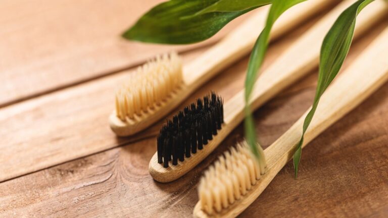 Bamboo Toothbrush